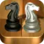 Knight chess: chess game