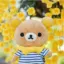 Cool Plushy