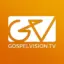 Gospel Vision
