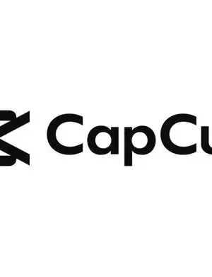 CapCut screenshot 3