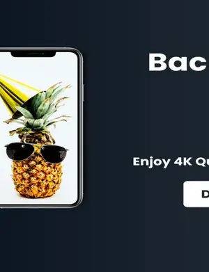BackPaper - 4K Wallpapers screenshot 3