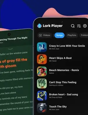 Lark Player screenshot 5