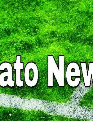 Mercato News 24 screenshot 5